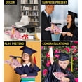 thumbnail image 3 of DolliBu Pink Dolphin Graduation Plush Toy - Super Soft Plush Graduation Stuffed Animal Dress Up with Graduation Cap with Tassel Outfit - Congratulatory Graduation Gift - 14 Inches, 3 of 6