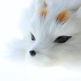 thumbnail image 3 of Lifelike Faux Model Figurine Science Toy Gift - Lying Snow Lowrie, 3 of 8