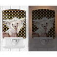 thumbnail image 2 of Caroline's Treasures LH9042CNL Chinese Crested Candy Corn Halloween Portrait Ceramic Night Light, 6x4x3", multicolor, 2 of 2