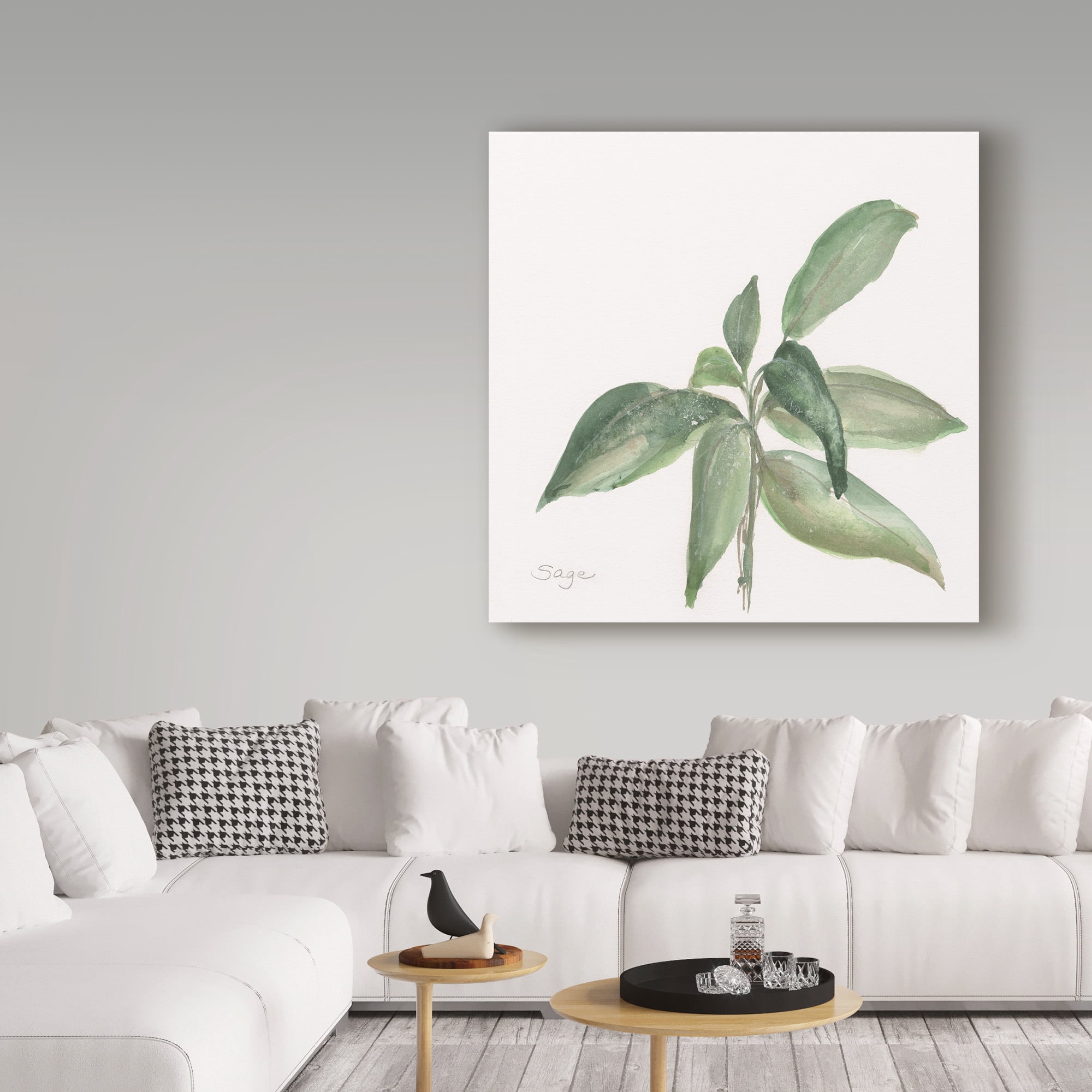Trademark Fine Art 'Sage I' Canvas Art by Chris Paschke