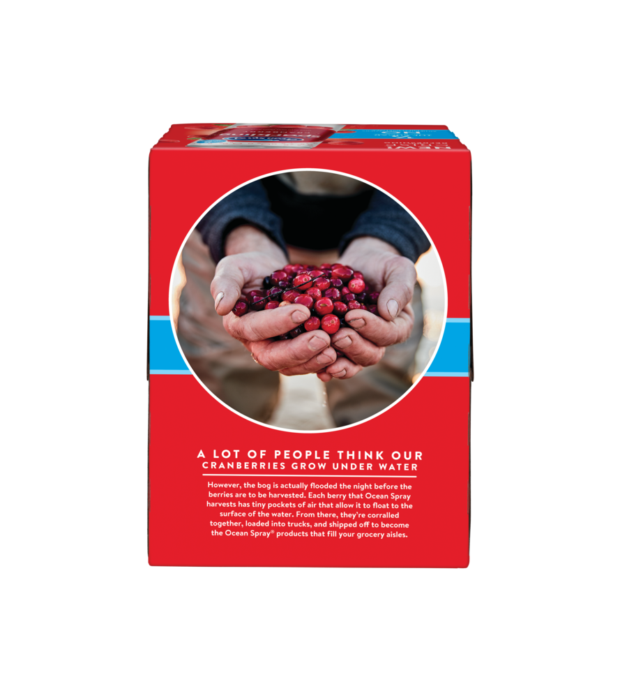 Ocean Spray® Sparkling Cranberry Juice Drink, 11.5 fl oz Cans, 4 Count - image 2 of 7