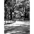 thumbnail image 3 of Pica, Jeff 12x14 Black Modern Framed Museum Art Print Titled - Central Park Walk 2, 3 of 5