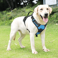 thumbnail image 3 of Magshion No Pull Mesh Dog Harness with Control Handle, Reflective Vest Pet Harness for Large Dogs, Sky Blue L, 3 of 9