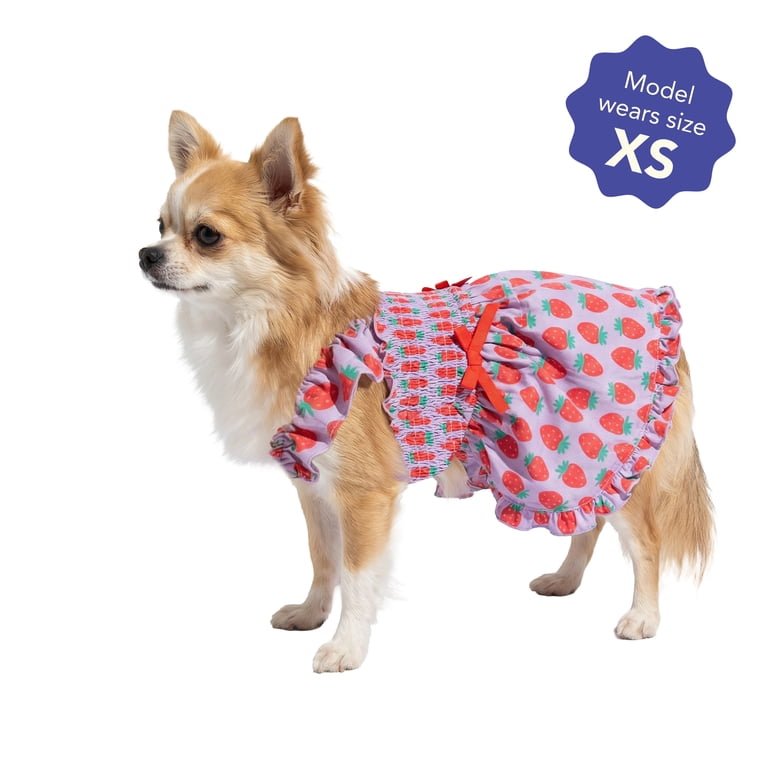 Oodles Purple Strawberry Print Ruffled Spring Dog Dress, Extra