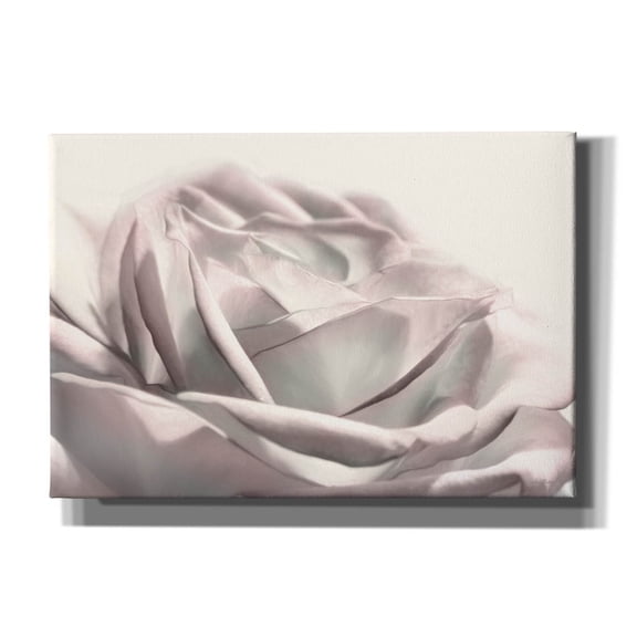 Epic Graffiti 'Blush Rose II' by Lori Deiter, Canvas Wall Art, 26"x18"