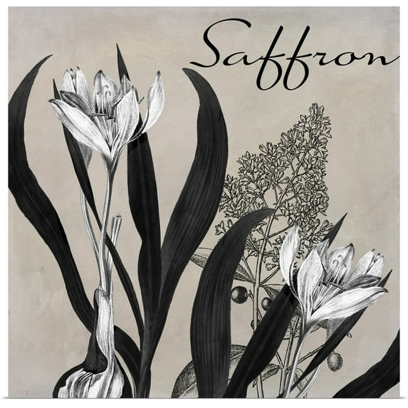 Great BIG Canvas | "Flowering Herbs I" Art Print - 16x16