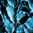 thumbnail image 2 of Villa, Mlli 26x26 Black Ornate Wood Framed with Double Matting Museum Art Print Titled - Blue Hue Leaves, 2 of 4