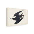 thumbnail image 2 of John James Audubon 'Sooty Tern' Canvas Art, 2 of 3