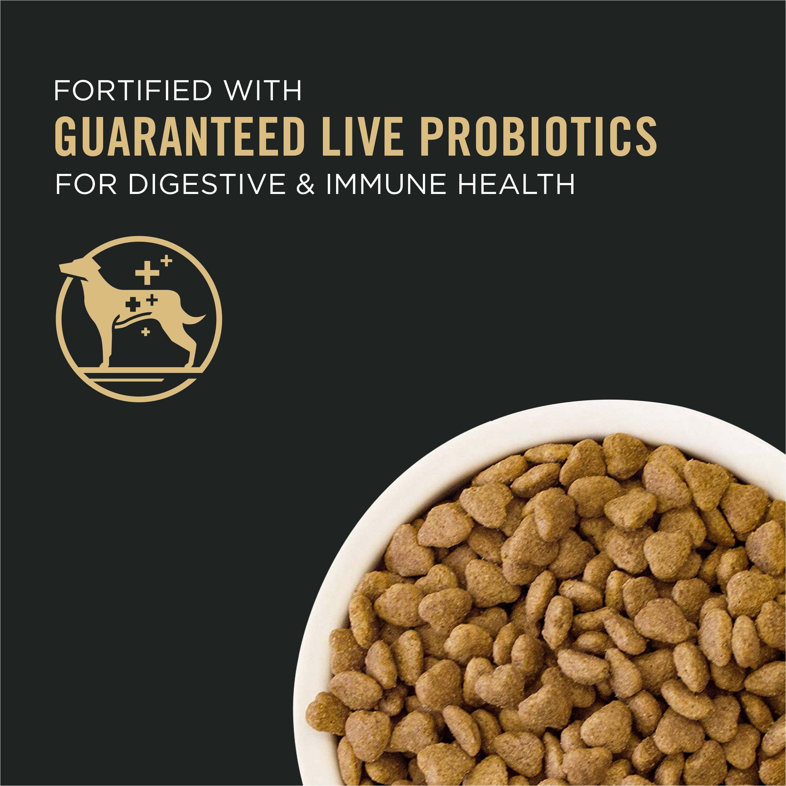 pro plan small bites