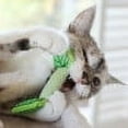 thumbnail image 4 of Petstages Fresh Breath Mint Stick Cat Toy, Green, One-Size, 4 of 5