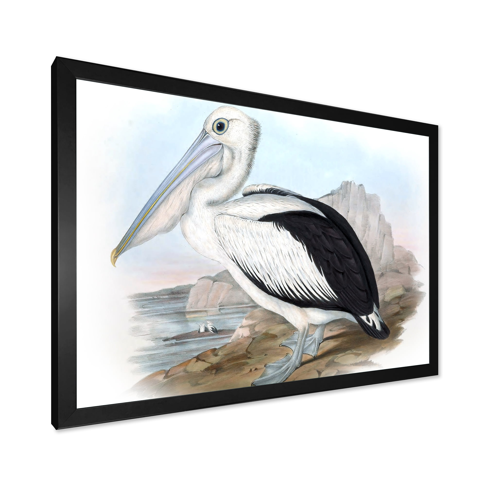 Designart 'Ancient Australian Birds VIII' Traditional Framed Art Print