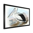 thumbnail image 2 of Designart 'Ancient Australian Birds VIII' Traditional Framed Art Print, 2 of 4