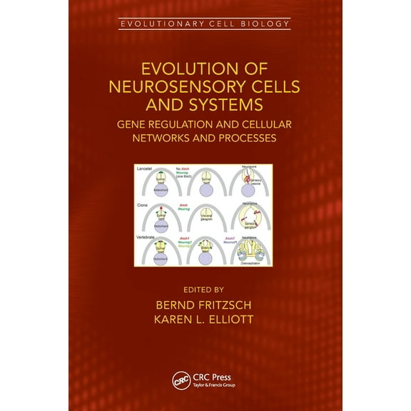 Evolutionary Cell Biology Evolution of Neurosensory Cells and Systems: Gene Regulation and Cellular Networks and Processes, (Paperback)