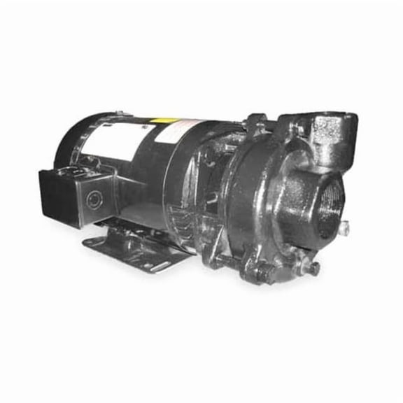 Dayton Cast Iron 3 HP Centrifugal Pump 208-230/460V 2ZWR3