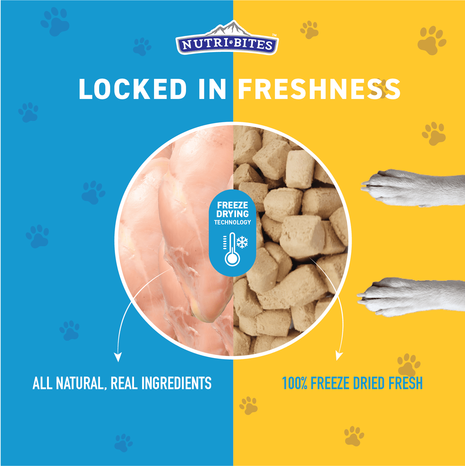 Canature NutriBites Freeze Dried Chicken Dog and Cat Treat 22 Ounce
