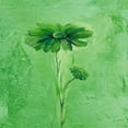 thumbnail image 3 of Filatov, Elena 15x15 Black Modern Framed Museum Art Print Titled - Fiore 3, 3 of 5