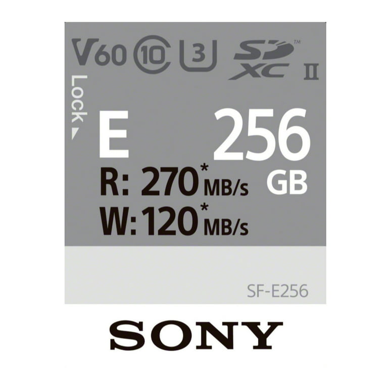 ●SONY(ソニー)　SF-E256 [256GB]