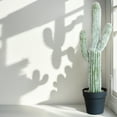 thumbnail image 3 of 24.67" Artificial Saguaro Cactus in Black Pot – Lifelike Desert Decor, Zero Maintenance Fake Plant for Home & Office, 3 of 7