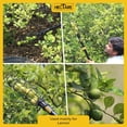 thumbnail image 5 of Hectare Lemon Picker, 5 of 5