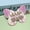 Suspension box packaging (1-2 days delivery), variant on 10-piece embossed children wearing armor, cute and sweet children's nail art, children wearing nail pieces 3-12 years old