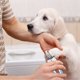 thumbnail image 4 of Cortauñas para perros, cortaúñas para gatos, herramienta de aseo de acero inoxidable, lima de uñas gratis, perros pequeños, medianos y grandes, tamaño L, 4 of 8