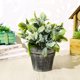 thumbnail image 5 of Gwong Decoración hogareña 1pc Artificial Grass Plant Greenery Bonsai Home Office Garden Muebles Decoración Gwong 21031701, 5 of 7