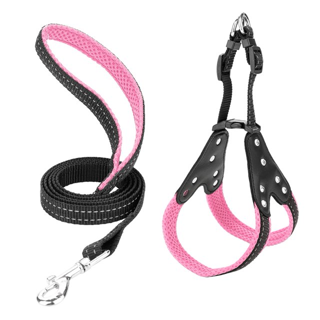 Harnais pour Chiens Réglable, Sangle Réglable Harnais Nylon Animaux de Compagnie Sangle Chiens Sangle Fonctionnalité Intelligente