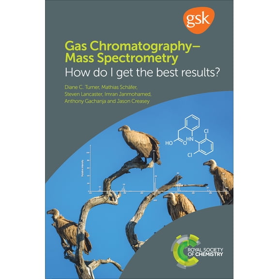 Gas Chromatography-Mass Spectrometry: How Do I Get the Best Results?, (Paperback)
