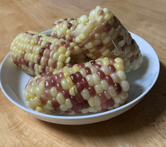 WATSON CORN - FRENCH Maïs cireux marbré biologique surgelé Watson