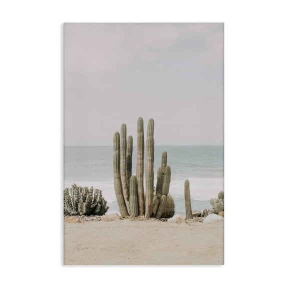 Stupell Industries Cactus on Beach Shore Landscape & Nature Photography Wrapped Canvas Art Print Wall Art, 16 x 24