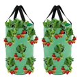 thumbnail image 1 of CNKOO Strawberry Planting Pot Container Plant Grow Bags Home Hanging Strawberry Planter Growing Bags, 1 of 9