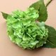 thumbnail image 3 of Simulated Large Embroidered Ball With Realistic And Moisturizing Touched Artificial Wedding Floral Decoration-wedding Artificial Flowers, 3 of 4