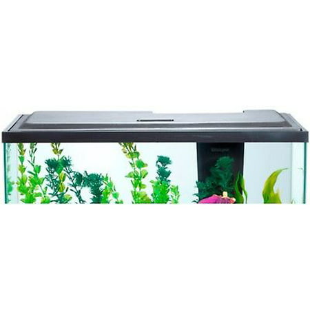 Aqua Culture 20/55 Gallon LED Fish Tank Hood (Best Cichlids For A 55 Gallon Tank)