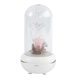 thumbnail image 1 of Difusor de aroma con carga USB, diseño de flor eterna, humidificador LED, purificador, luz nocturna, aromaterapia para decoración del hogar (rosa rosa), 1 of 5
