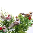 thumbnail image 4 of 12 unids/set simulación bonita modelo de pájaro Artificial decoración de jardín en miniatura para el hogar Likrtyny 2zm2lr5za0bx6kh4, 4 of 6