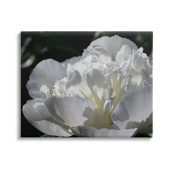 Blooming White Petals Photography Botanical & Floral Photograph Gallery Wrapped Canvas Print Wall Art