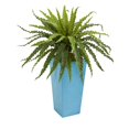 thumbnail image 1 of Nearly Natural 6492 Asplenium Artificial Plant in Turquoise Planter, 1 of 1