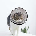 thumbnail image 1 of Floral-Wedding-Design Soft Cat Dog Recovery Collar Adjustable Cat Cone Wound Healing Protective After Surgery for Dog Cone Collar, 1 of 7
