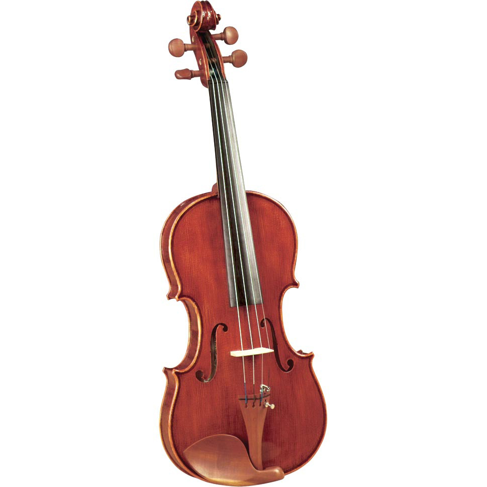 Maestro Violin