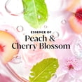 thumbnail image 5 of (4 pack) Olay Fresh Radiance Body Wash with Essence of Peach and Cherry Blossom, Vitamin B3 and Antioxidant Blend, 5 of 14