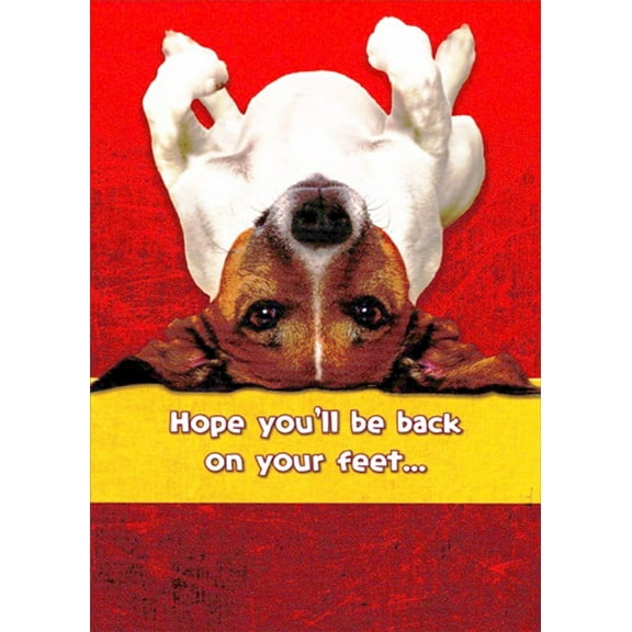 Designer Greetings Upside Down Dog Back On Your Feet Funny / Humorous Get Well Card