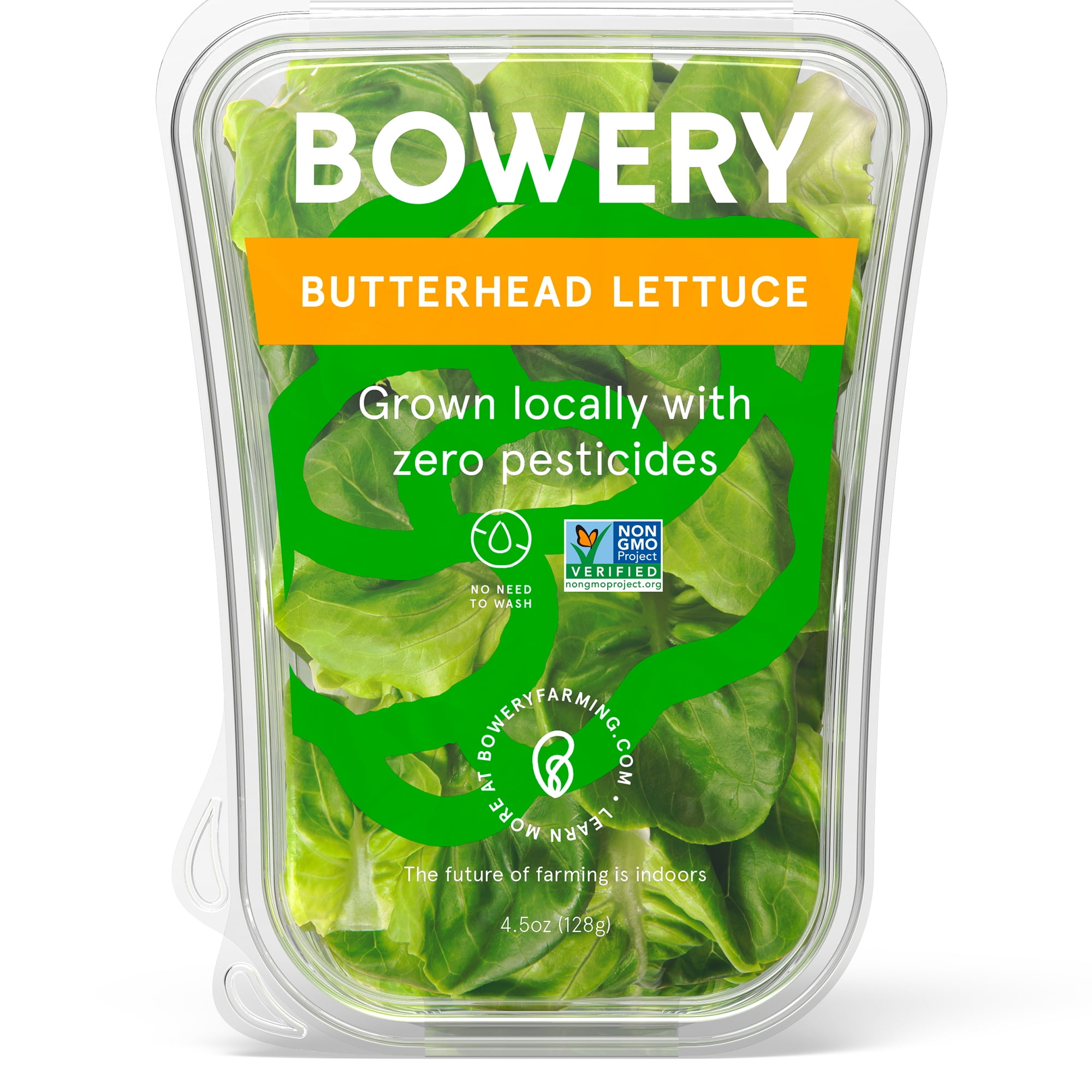 Bowery Butterhead Lettuce Locally Grown, Sustainable Salad Greens, 4