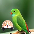 thumbnail image 4 of Casco de pollo, equipo de protección, sombrero de gallina para el sol, protector de cabeza de pájaro para mascotas (perro) Likrtyny Para estrenar, 4 of 8