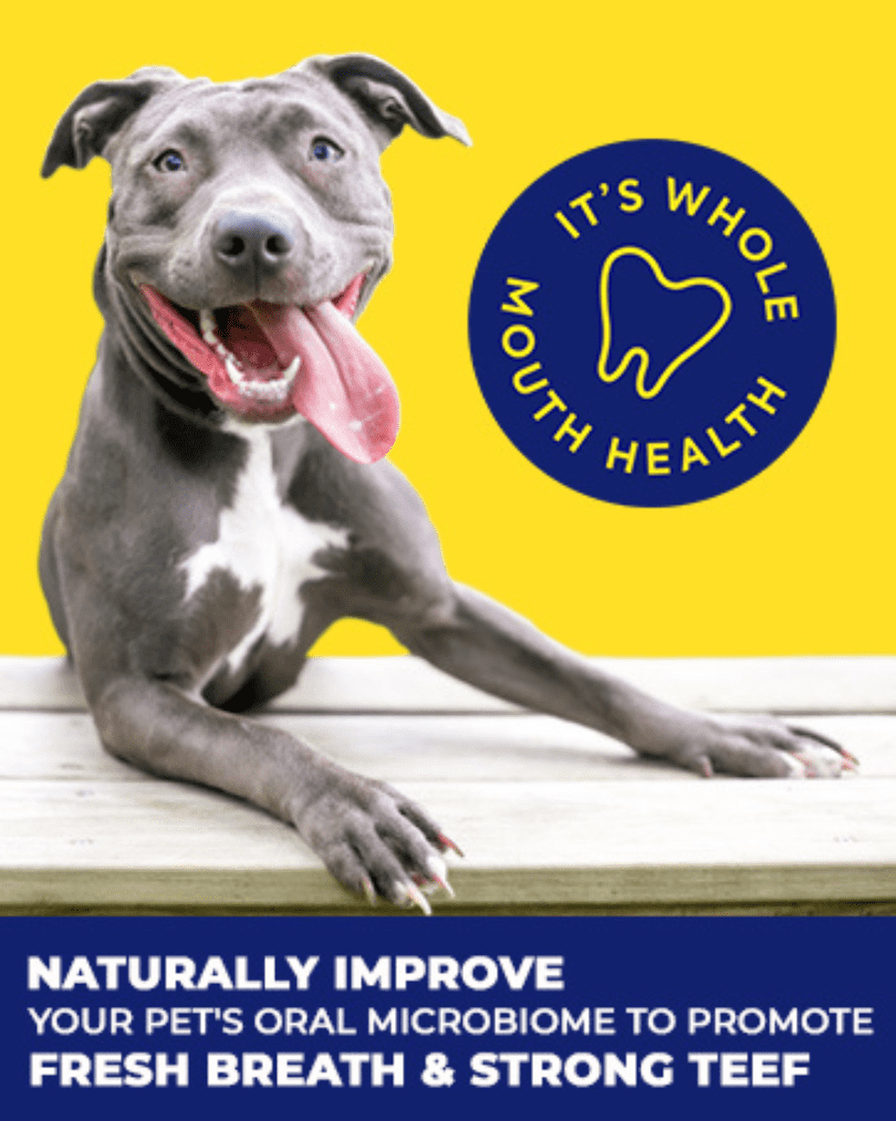 Teef for Life  - Prebiotic Dental Powder for Dogs, Clinically-Proven Formula Naturally Freshens Breath & Cleans Teeth, Kit with 90 Servings