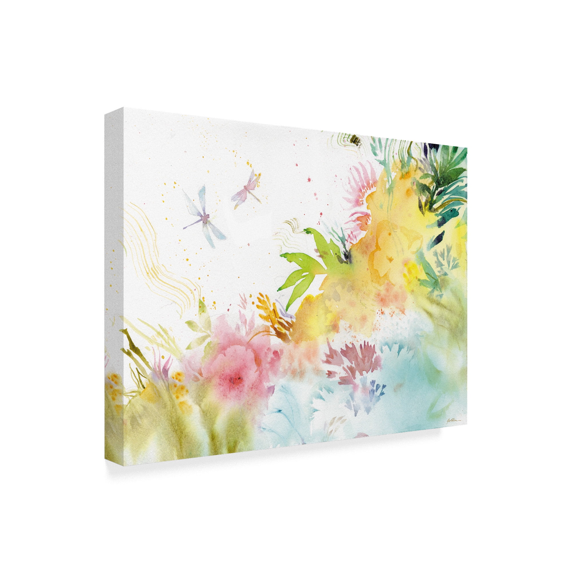 Trademark Fine Art 'Dragonfly Harmony' Canvas Art by Sheila Golden