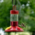 thumbnail image 4 of 20Pcs Hummingbird Feeders Replacement Flowers Outdoor Plastic Replacement Feeding Ports Bird Hanging Feeder, 4 of 6