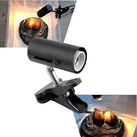 aquarium reptile light holder