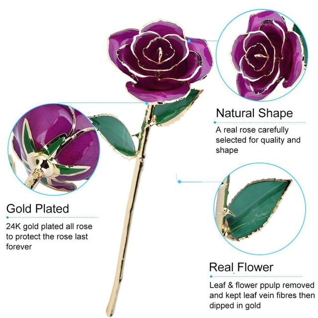 Hilitand Long Stem Dipped 24k Gold Rose In Gift Box With Stand (Purple Rose With Stand),Dipped Golden Roses,Rose Desktop Ornament