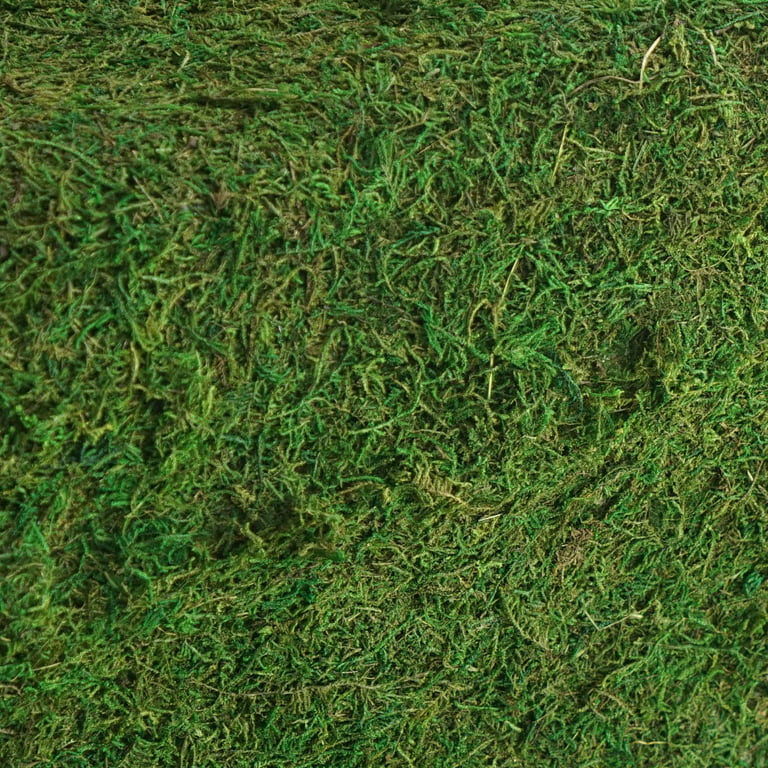 14x48 Green Preserved Moss Table Runner with Fishnet Grid – eHomemart
