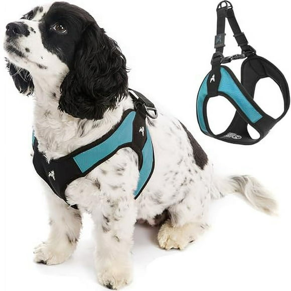 Gooby - Arnés de fácil Ajuste sin Escape, arnés para Perros pequeños Que Les Gusta Escapar de su arnés, Turquesa, pequeño